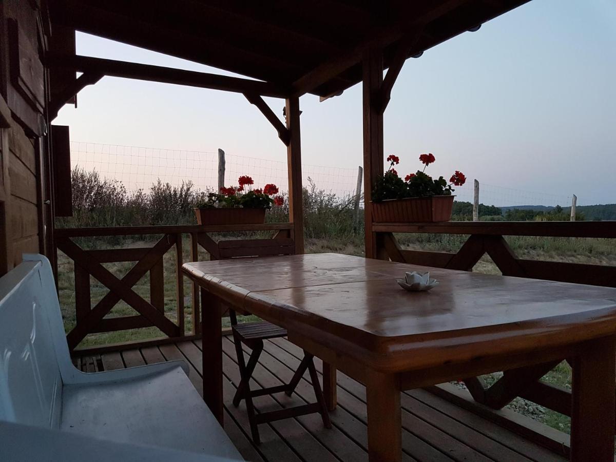 Domek Triftberg Chojna Esterno foto