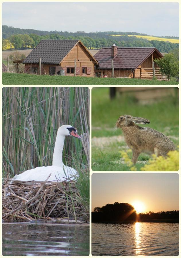 Domek Triftberg Chojna Esterno foto