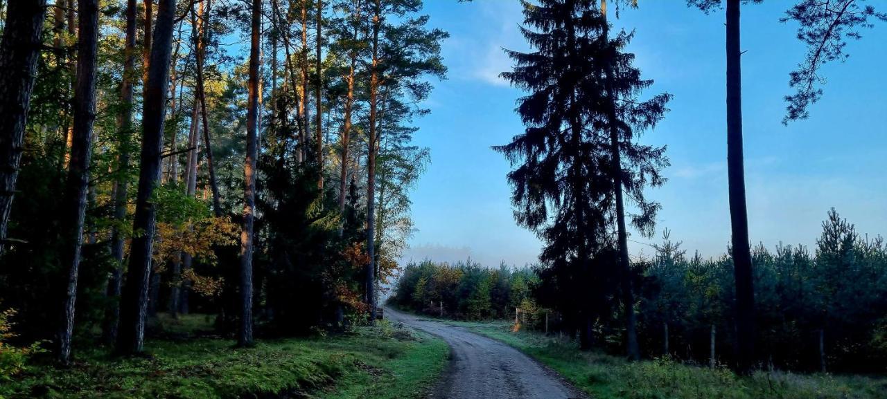 Domek Triftberg Chojna Esterno foto