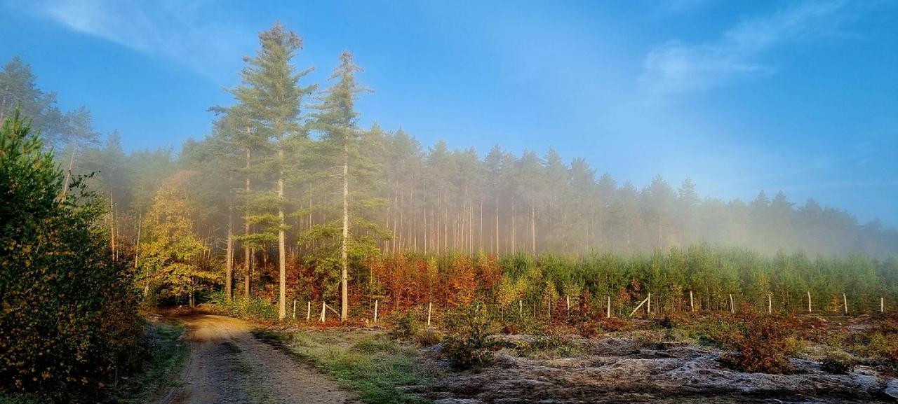 Domek Triftberg Chojna Esterno foto