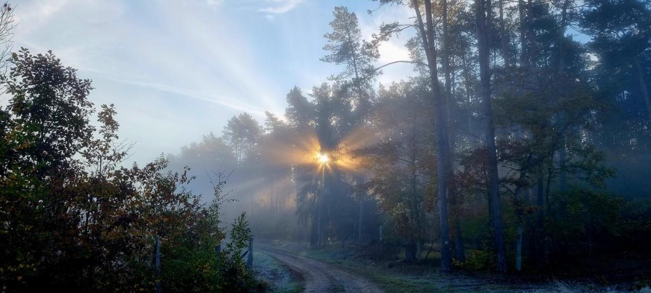 Domek Triftberg Chojna Esterno foto