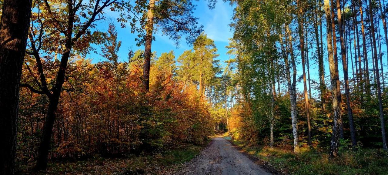 Domek Triftberg Chojna Esterno foto