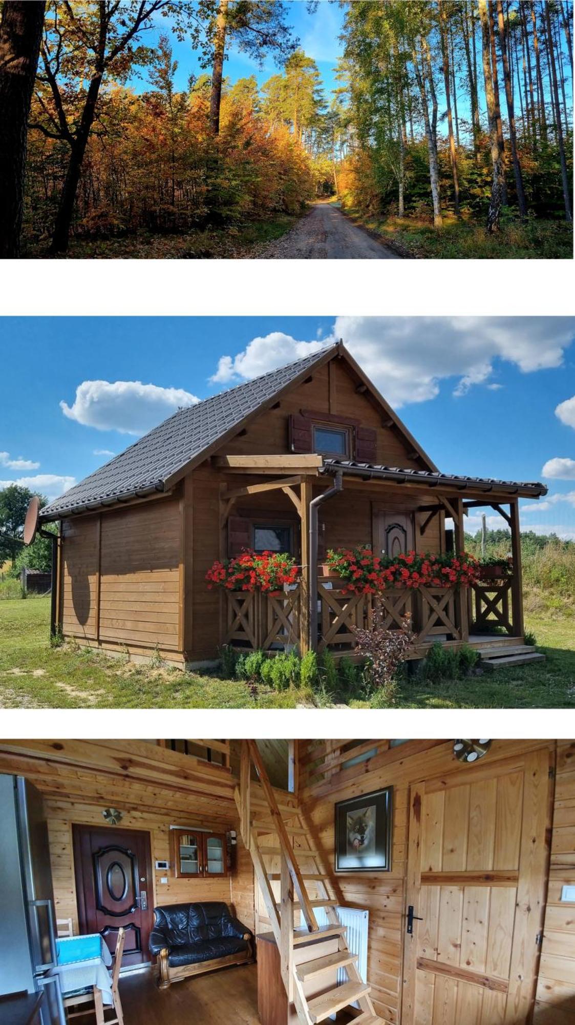 Domek Triftberg Chojna Esterno foto